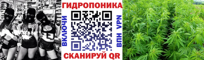 Где купить наркоту Владикавказ ГАШ Канабис COCAIN Альфа ПВП Псилоцибиновые грибы Меф