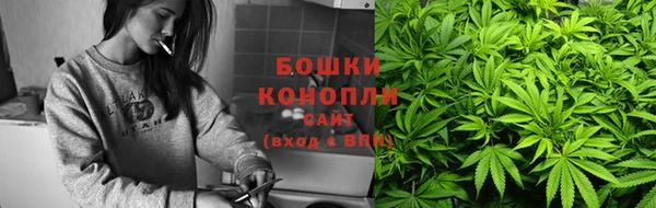 PSILOCYBIN Абдулино