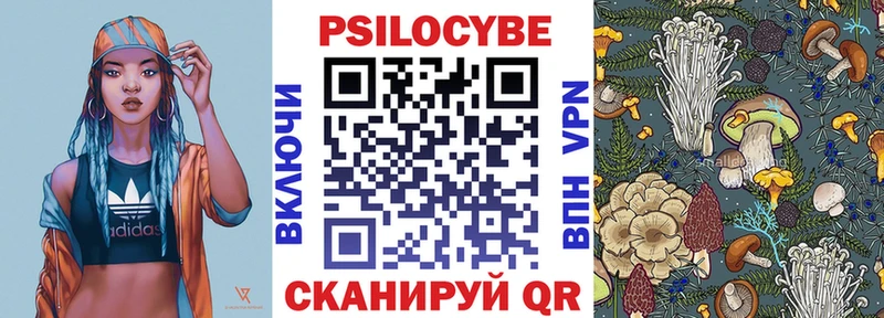 где купить наркоту  мега tor  Галлюциногенные грибы мицелий  Владикавказ 